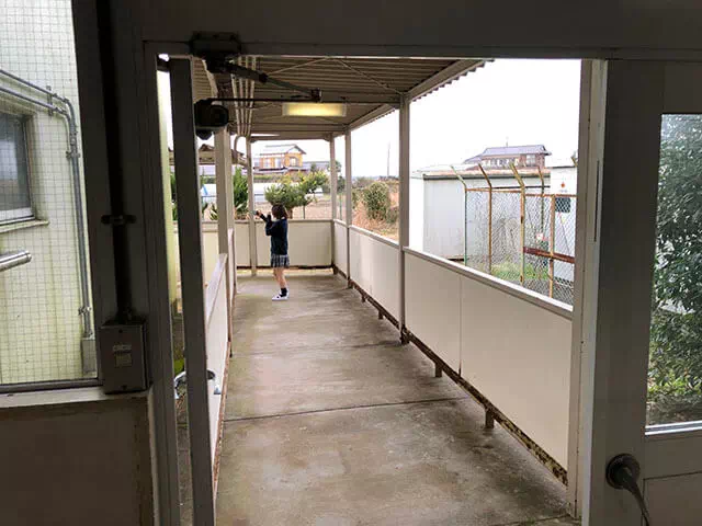 金江津小学校スタジオ 渡り廊下